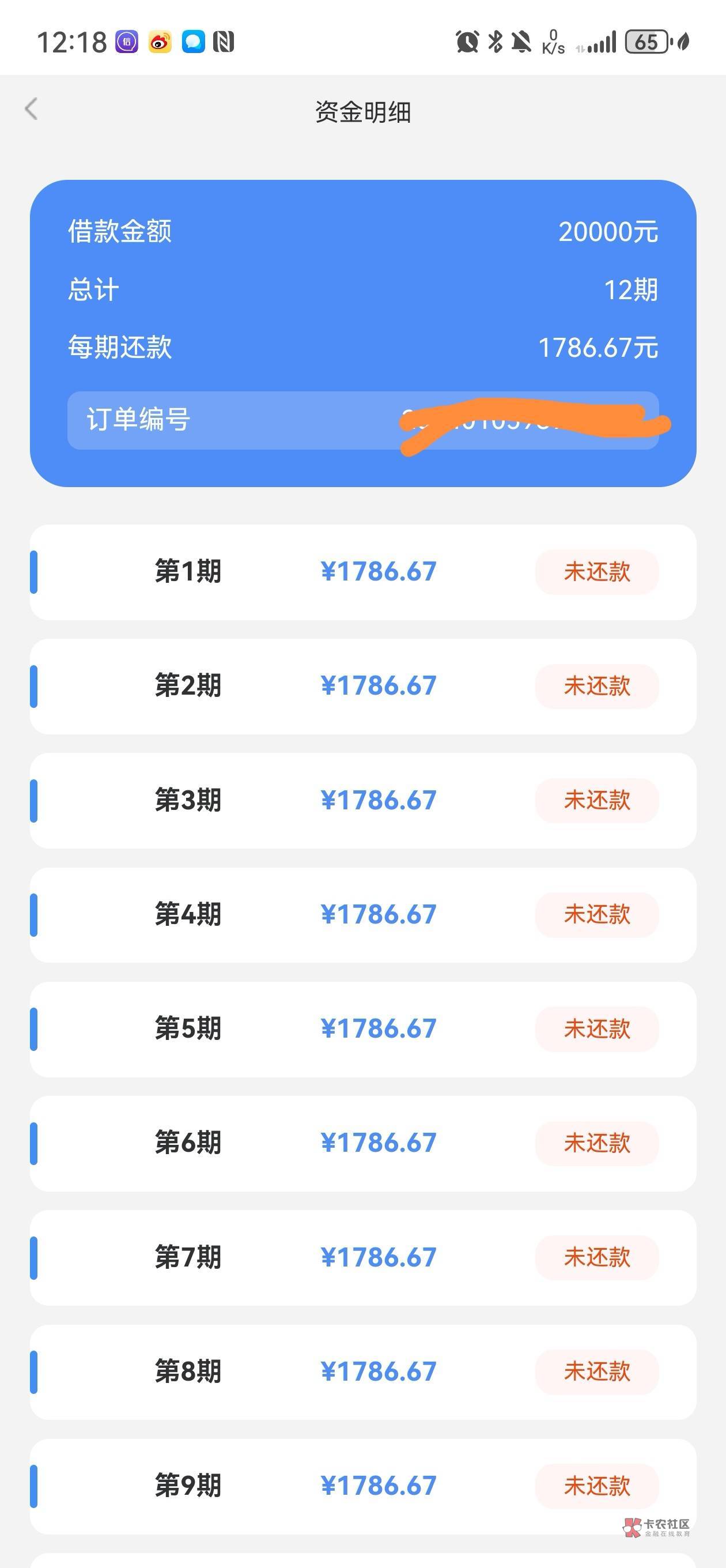 1742617968194871_736.jpg